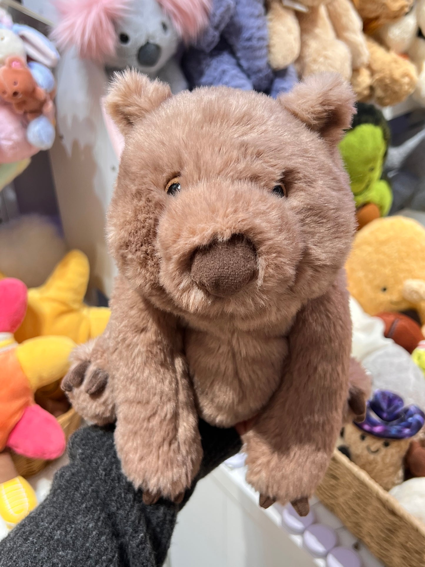 Jellycat Wonda Wombat 15cm