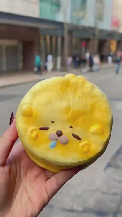 Seal Cake Slow-Rising Squishy