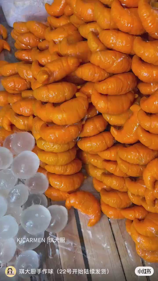 Croissant Crunchy Squishy